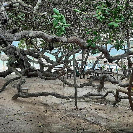 Jangaloa Lägenhet Jijoca de Jericoacoara Exteriör bild