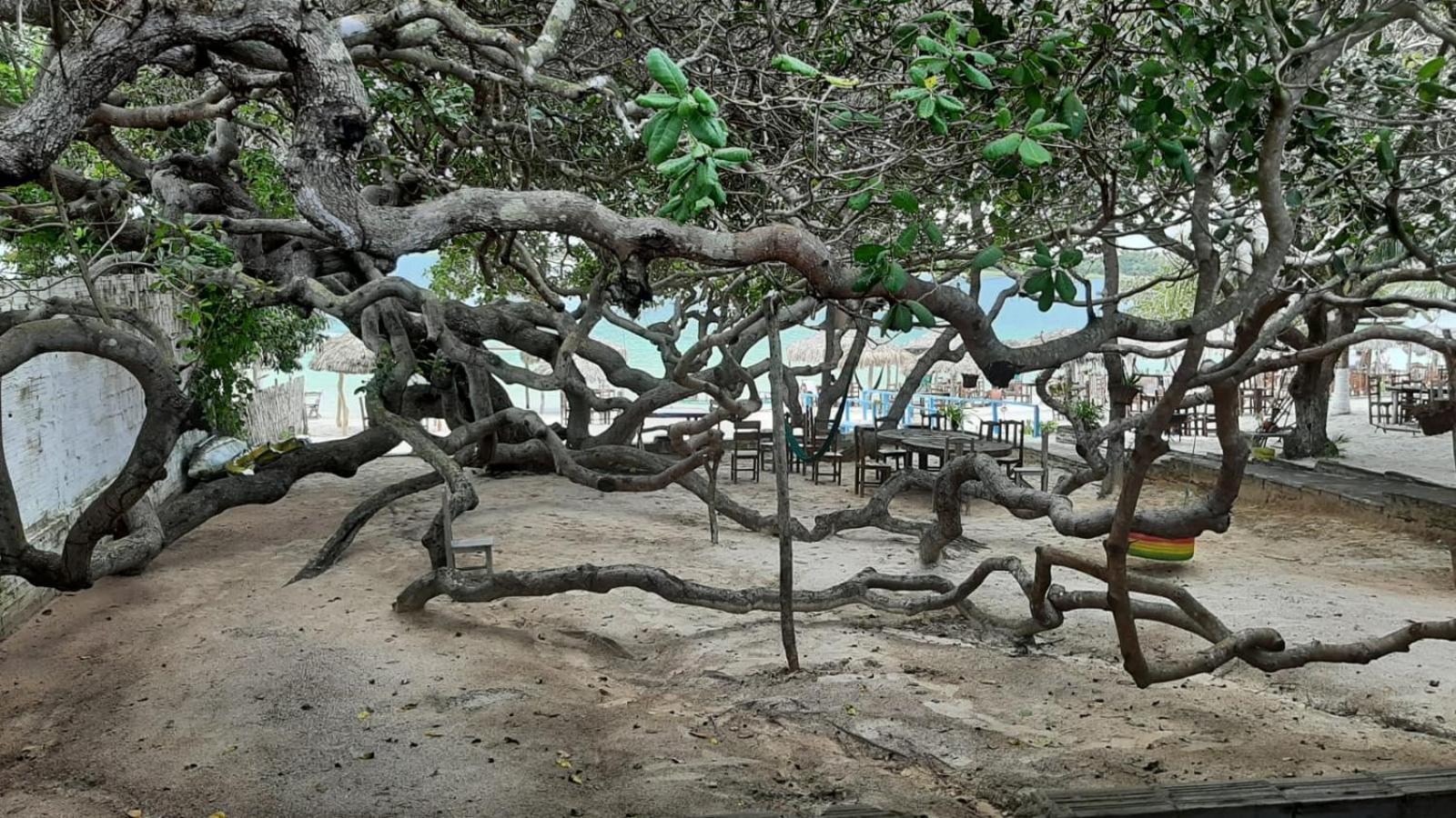 Jangaloa Lägenhet Jijoca de Jericoacoara Exteriör bild